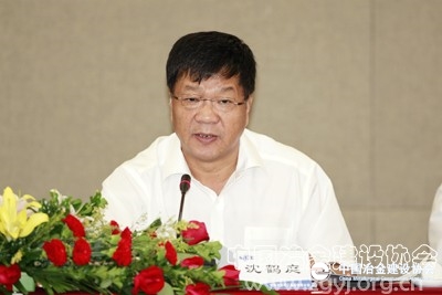 中冶集团董事长_国岳集团董事长图片