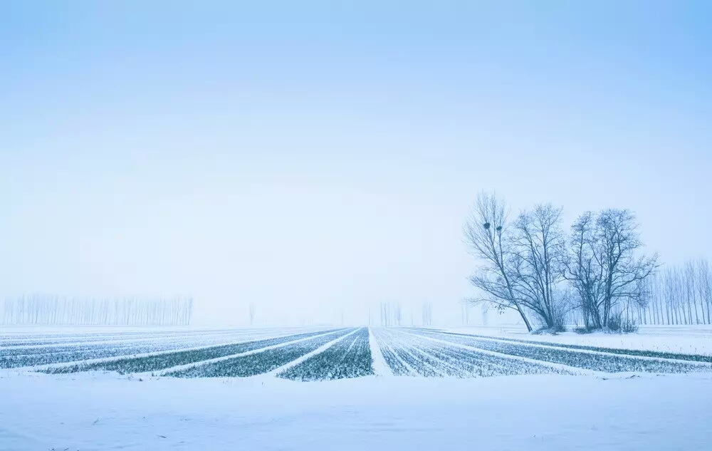 600x400